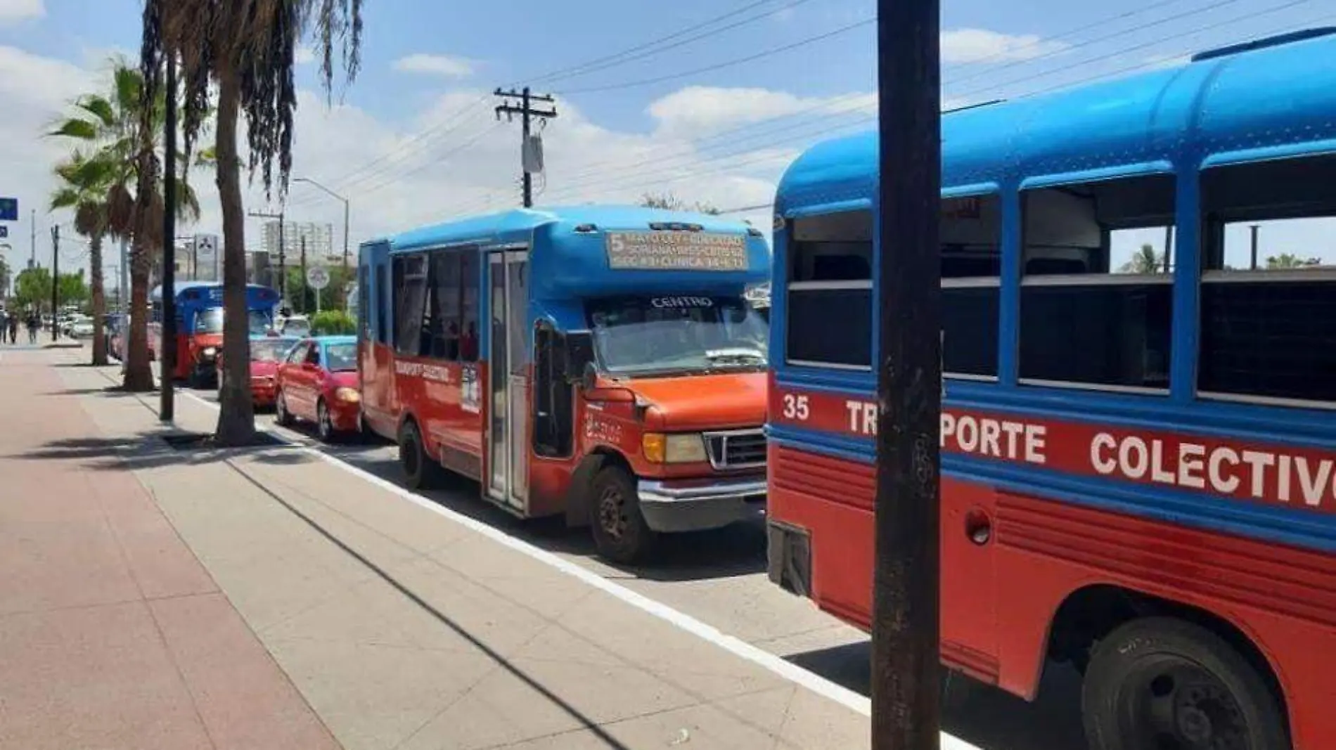 Peseros regreso a clases La Paz BCS